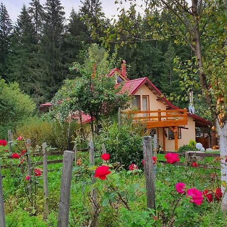 Forest Vibes Spa Cîmpu lui Neag Buitenkant foto