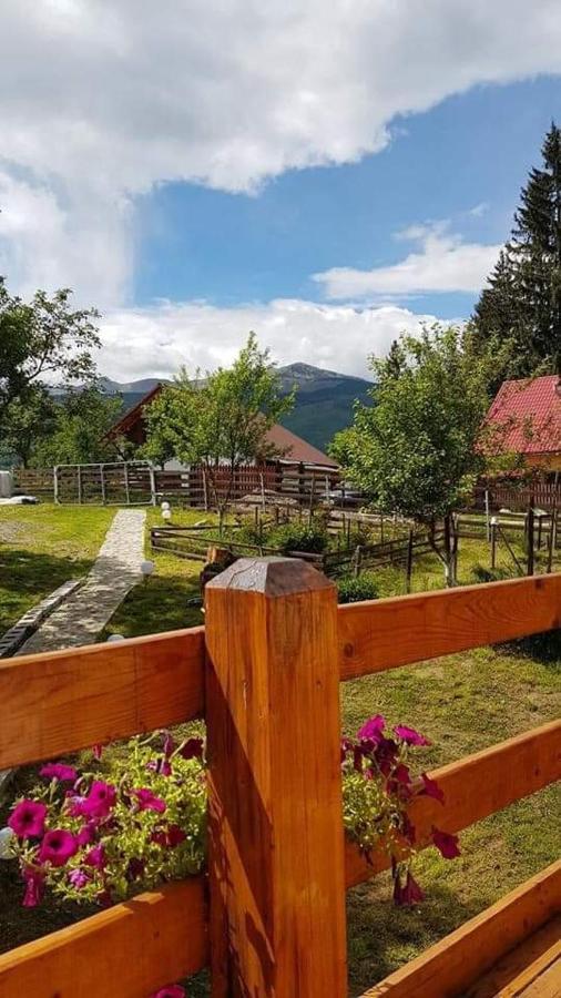 Forest Vibes Spa Cîmpu lui Neag Buitenkant foto