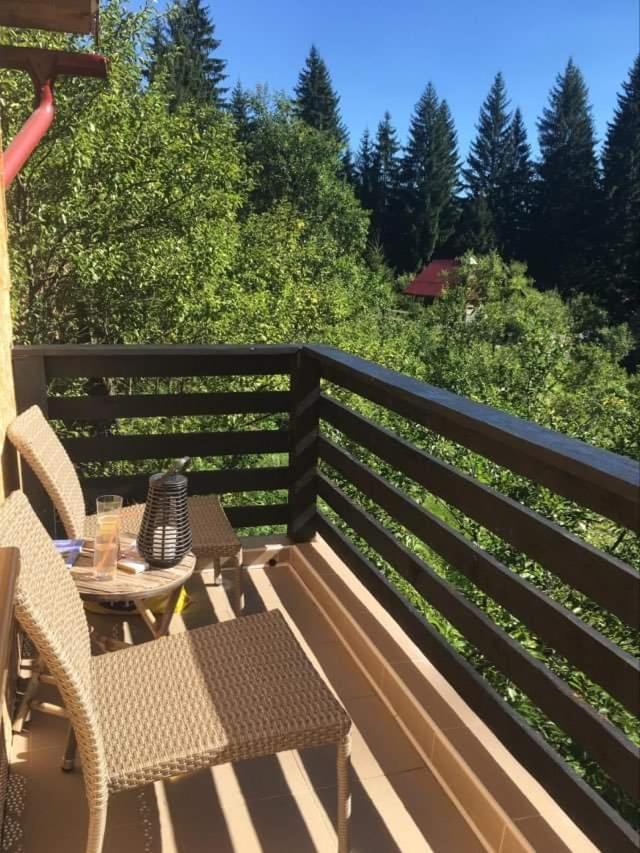 Forest Vibes Spa Cîmpu lui Neag Buitenkant foto