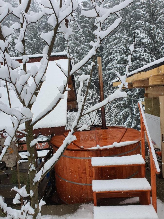 Forest Vibes Spa Cîmpu lui Neag Buitenkant foto