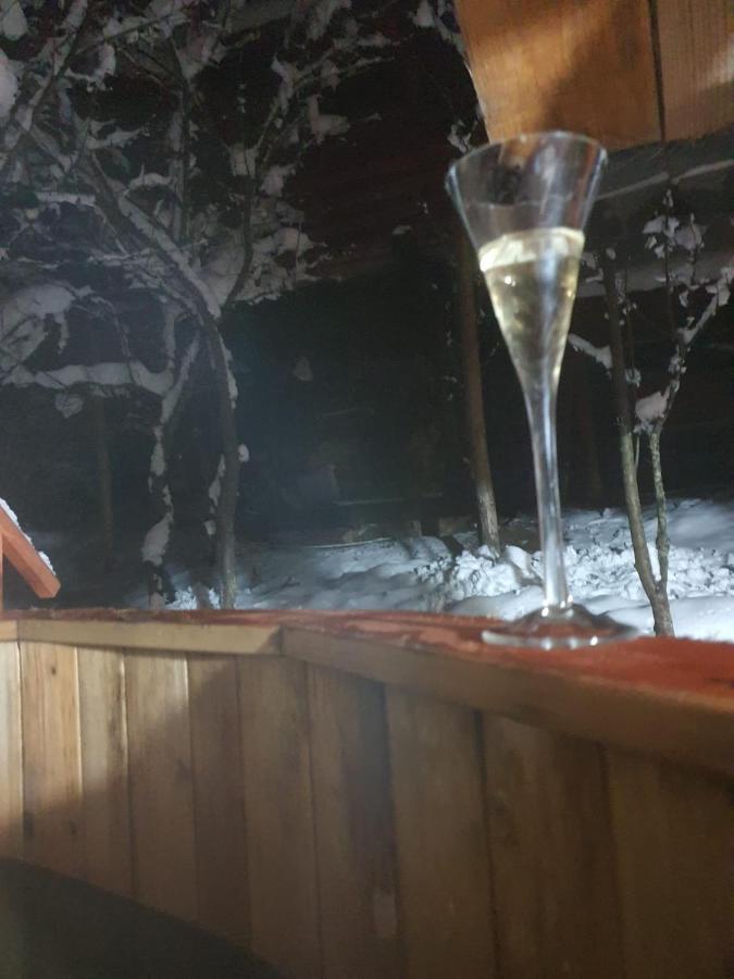 Forest Vibes Spa Cîmpu lui Neag Buitenkant foto