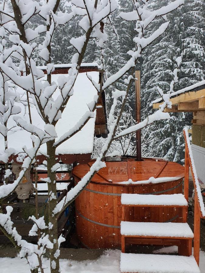 Forest Vibes Spa Cîmpu lui Neag Buitenkant foto