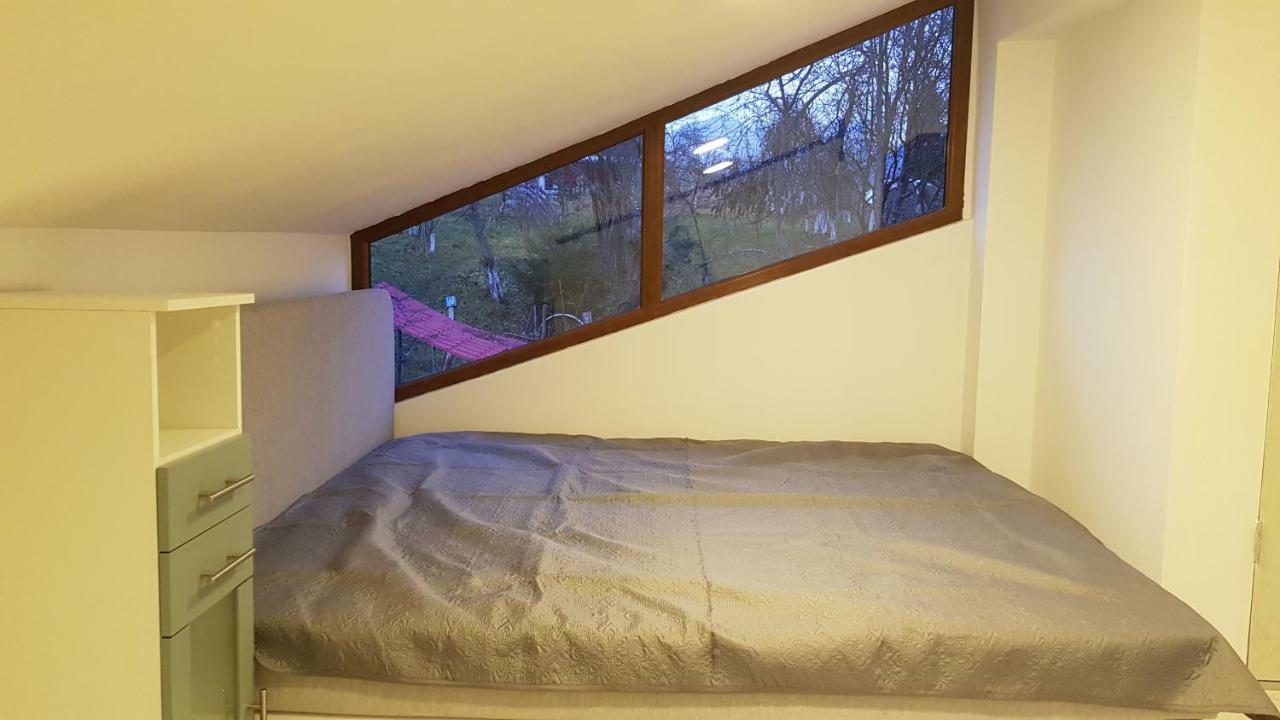 Forest Vibes Spa Cîmpu lui Neag Buitenkant foto