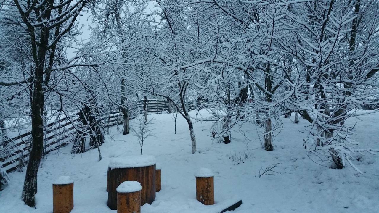 Forest Vibes Spa Cîmpu lui Neag Buitenkant foto