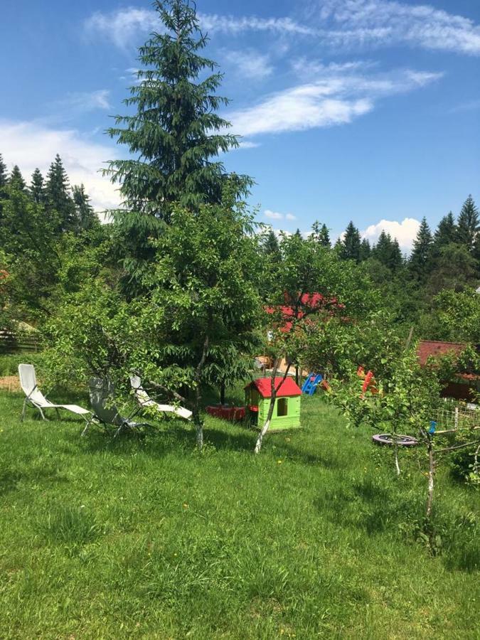 Forest Vibes Spa Cîmpu lui Neag Buitenkant foto