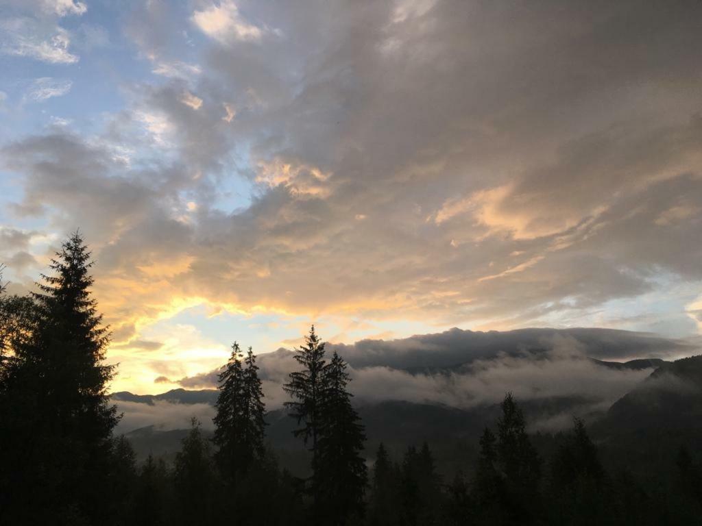 Forest Vibes Spa Cîmpu lui Neag Buitenkant foto