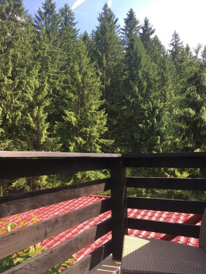 Forest Vibes Spa Cîmpu lui Neag Buitenkant foto