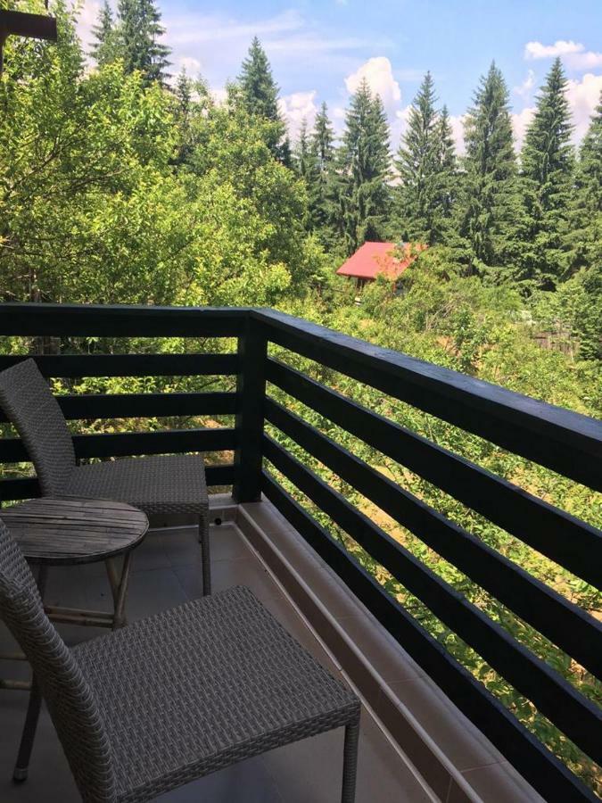 Forest Vibes Spa Cîmpu lui Neag Buitenkant foto