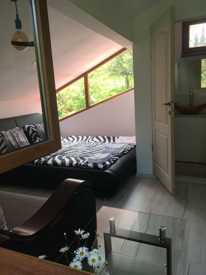 Forest Vibes Spa Cîmpu lui Neag Buitenkant foto
