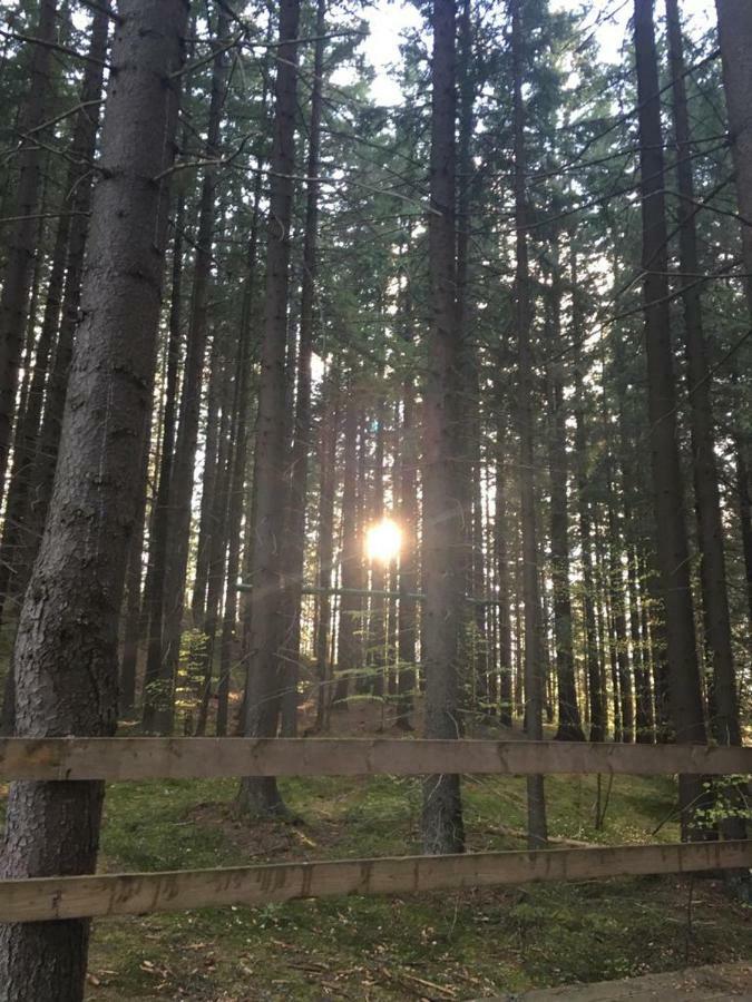 Forest Vibes Spa Cîmpu lui Neag Buitenkant foto