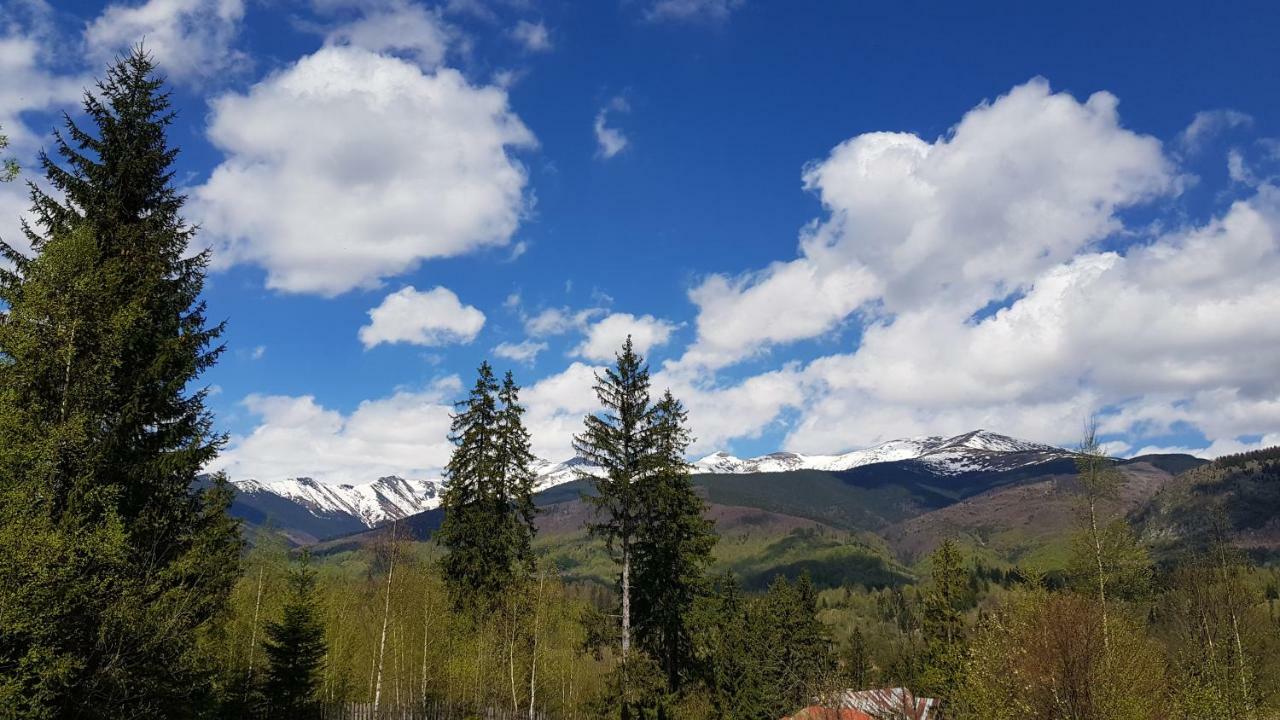 Forest Vibes Spa Cîmpu lui Neag Buitenkant foto